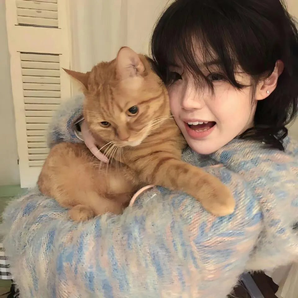 网球王子 全国大赛篇